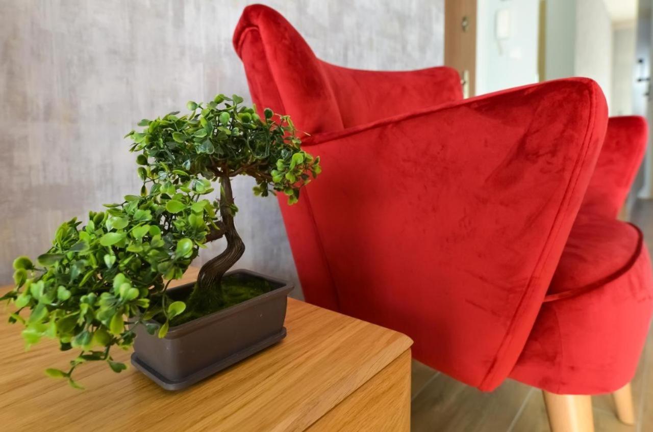 Beskid Apartment Щирк Екстер'єр фото